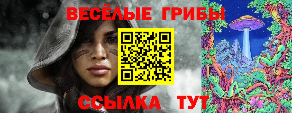 Псилоцибиновые грибы ЛСД Менделеевск